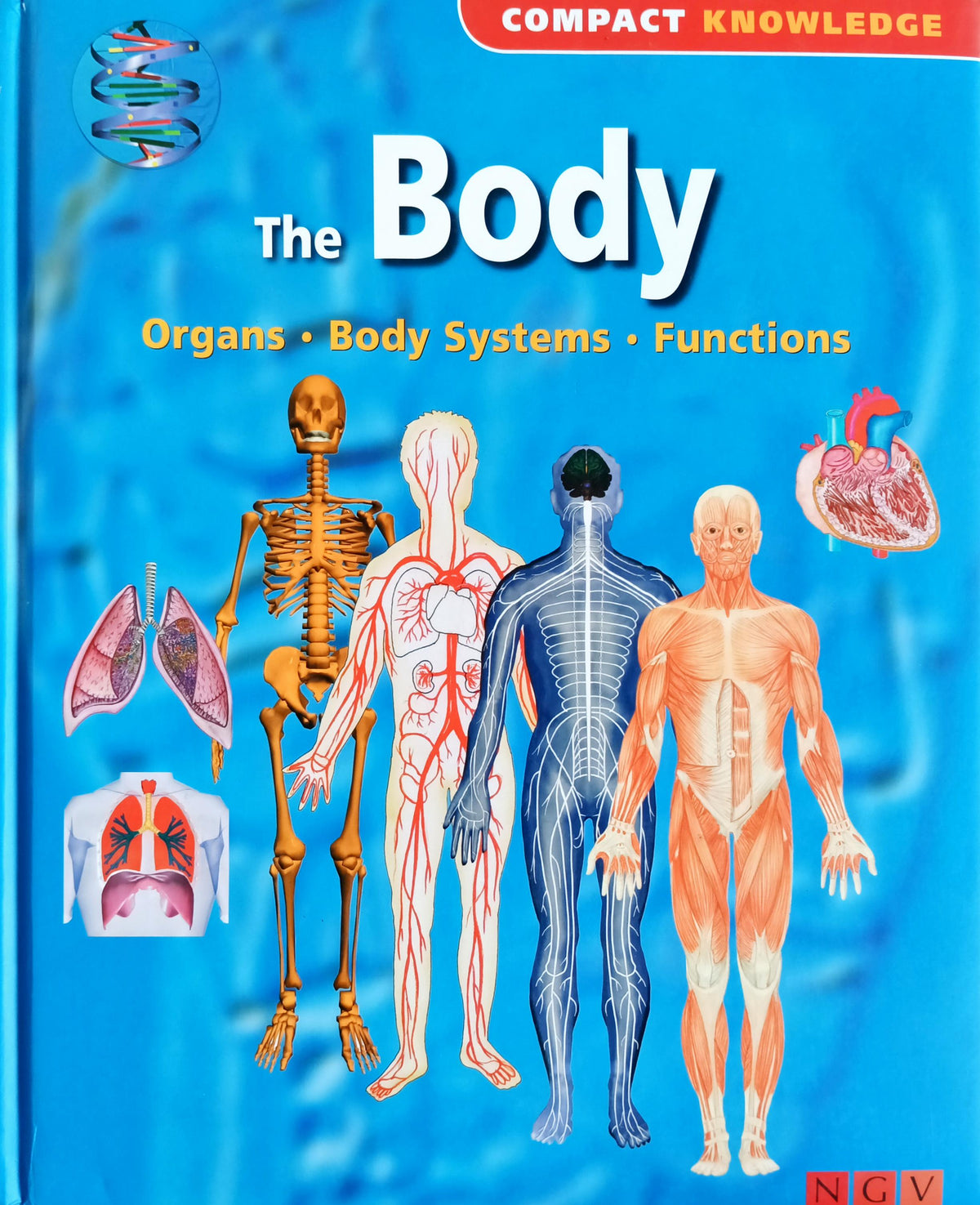 The Body Organs, Body System and Functions