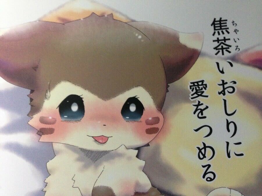 Doujinshi POKEMON Furret main (B5 36pages) Numathno Chairoi furry kemono