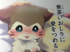 Doujinshi POKEMON Furret main (B5 36pages) Numathno Chairoi furry kemono