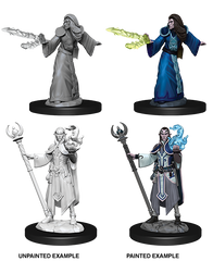 Elf Wizard Male