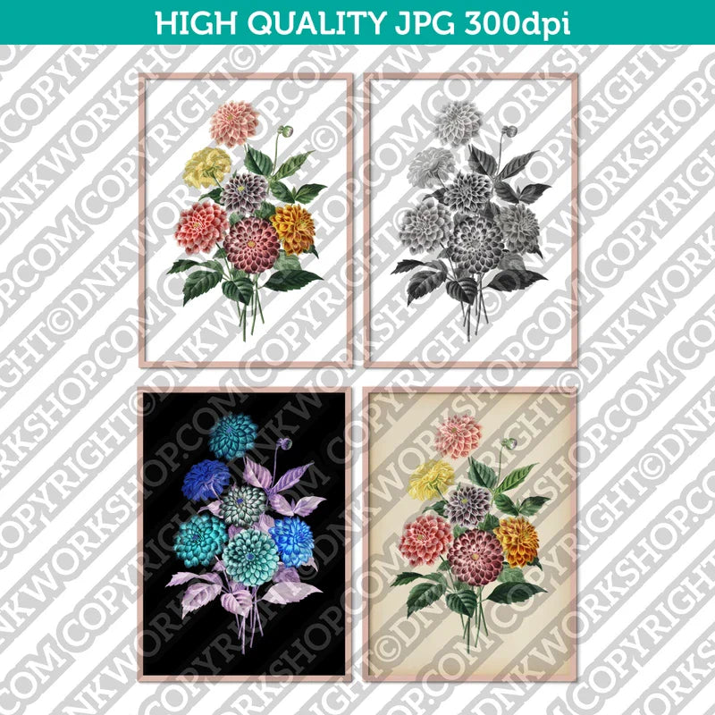 
Classic Vintage Printable Wall Art Painting Botanical Dahlia Flower Digital Download
