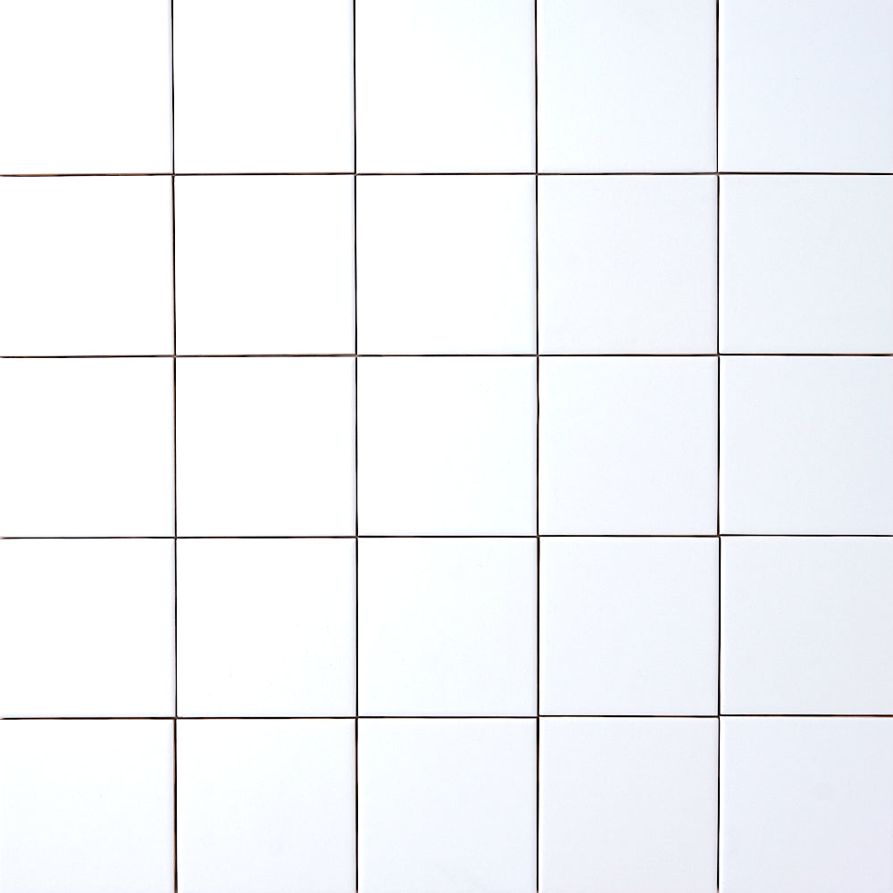 Timeless Ice White 4x4 Ceramic Tile Tilezz 
