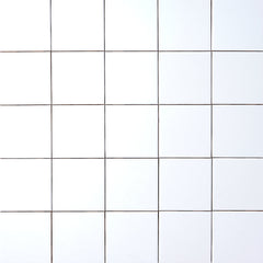 Timeless Ice White 4x4 Ceramic Tile Tilezz 