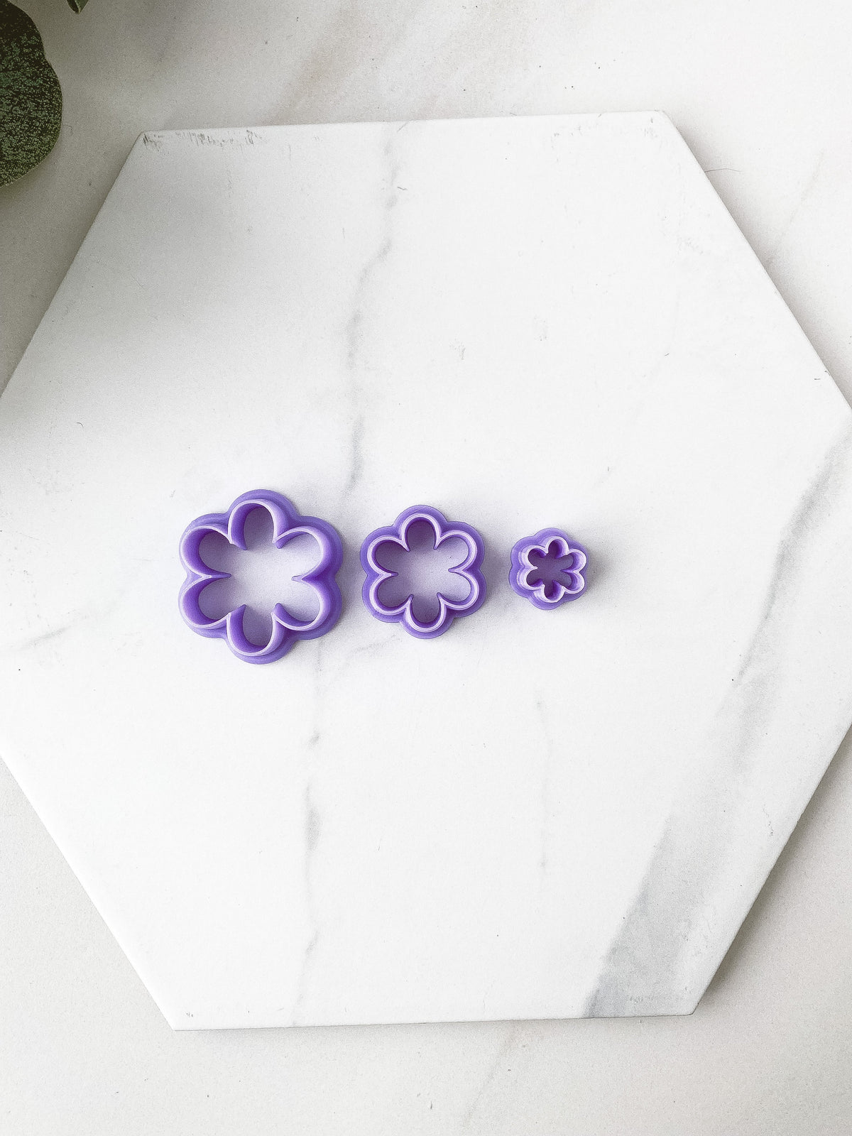 6 Petal Flower