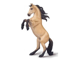Warlander Mare Rearing - Buckskin - on white background