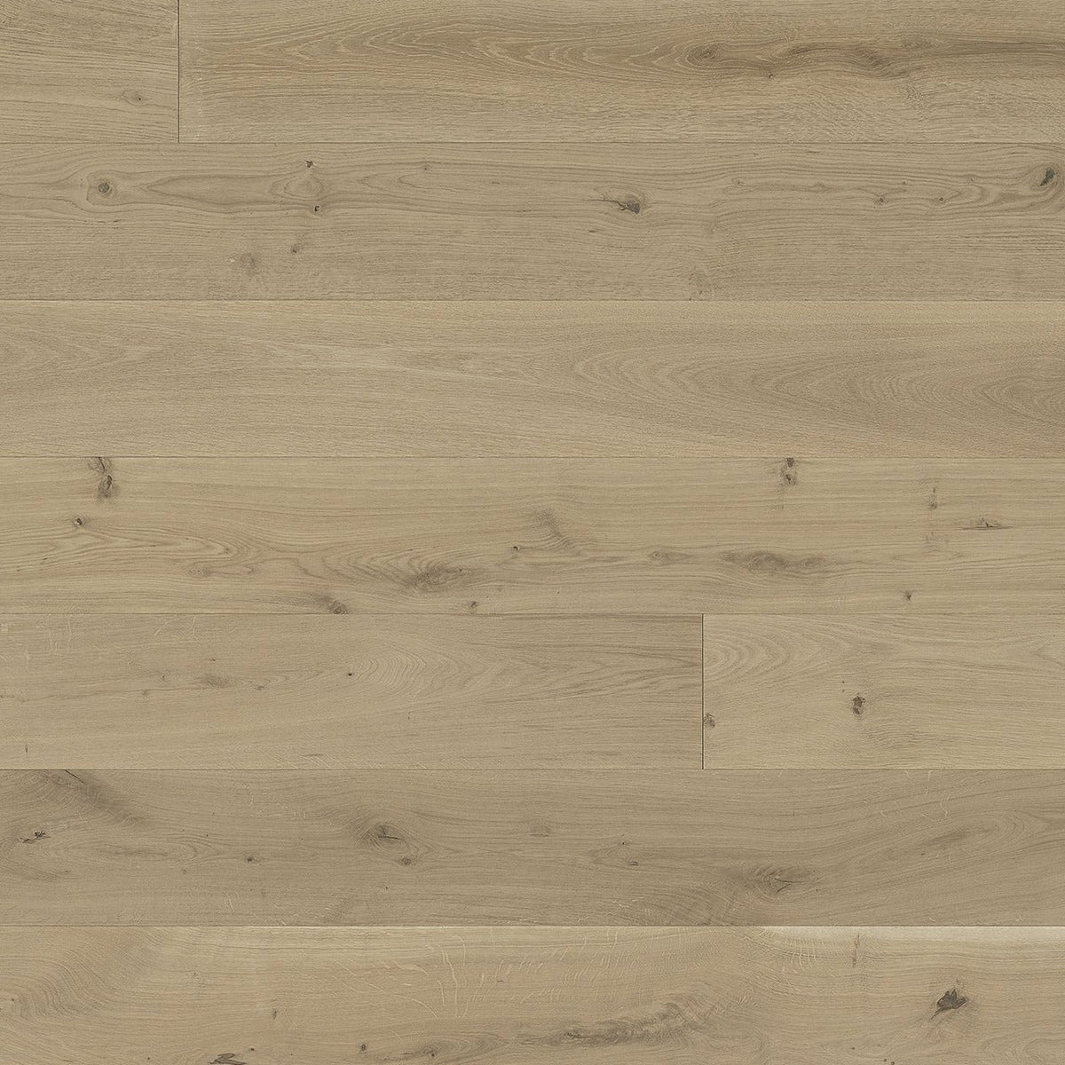 Wentwood - Monarch Plank - Windsor Collection